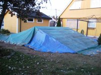 IMG_8228.jpg