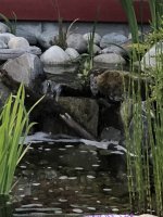 B6465983-E768-4D05-9B17-8F8CE26A913C.jpeg B6465983-E768-4D05-9B17-8F8CE26A913C.jpeg