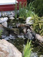 3644507A-3D33-4CBA-B670-567C4E5D9412.jpeg 3644507A-3D33-4CBA-B670-567C4E5D9412.jpeg