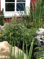 EA8625B2-6D83-4E1C-B134-C5431EF3F790.jpeg EA8625B2-6D83-4E1C-B134-C5431EF3F790.jpeg