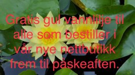886F02A8-95D2-4771-81CC-E71AF3114BB3.jpeg