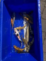 IMG_9069.jpeg