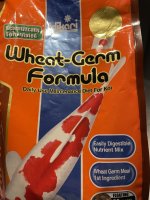 IMG_6560.jpeg