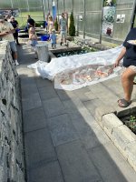 IMG_3102.jpeg
