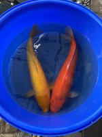 IMG_9613.jpeg