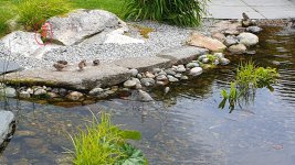 20240703_123408 rød ring.jpg 20240703_123408 rød ring.jpg