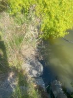 IMG_4678[1].jpg