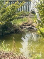 IMG_4679[1].jpg