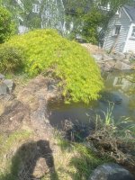 IMG_4682[1].jpg
