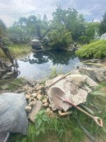 IMG_4718[1].jpg
