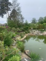 IMG_6168.jpeg