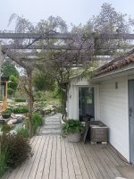 IMG_6167.jpeg