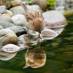 P9286133-ORF_DxO_HQ-SharpenAI-Motionxxx.jpg P9286133-ORF_DxO_HQ-SharpenAI-Motionxxx.jpg