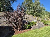 Kenneth3.jpg Kenneth3.jpg