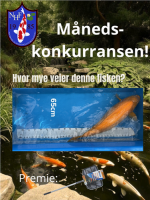 Måneds-konkurransen (2).png