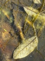 IMG_9967.jpeg