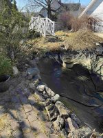 IMG_5448[1].jpg