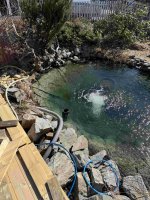 IMG_5449[1].jpg