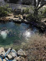 IMG_5450[1].jpg
