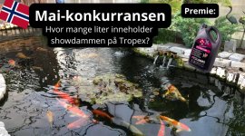 Mai-konkurransen.jpg