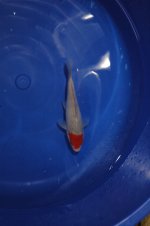 DSC_0022.JPG DSC_0022.JPG