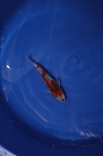 DSC_0028.JPG DSC_0028.JPG