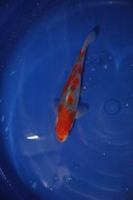 DSC_0143.JPG DSC_0143.JPG