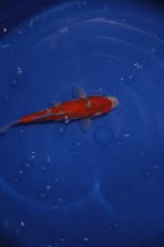 DSC_0148.JPG DSC_0148.JPG
