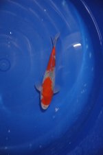 DSC_0177.JPG DSC_0177.JPG