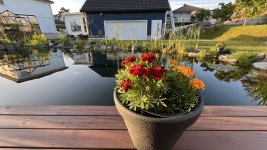 IMG_6969.jpeg