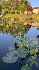 IMG_6961.jpeg