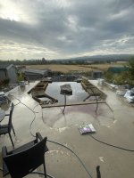 IMG_3184.jpeg