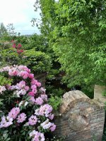 IMG_7470.jpeg
