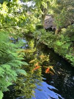 IMG_7667.jpeg