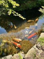 IMG_8020.jpeg