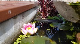 20160715_121542.jpg