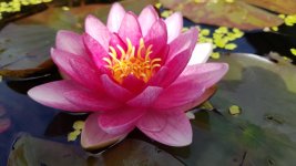 20160715_121614.jpg
