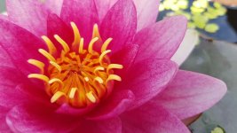 20160715_121621.jpg