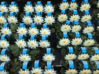 A5FE9402-A0E1-49DA-B247-27B8C61C1F6B.jpeg