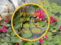 7E86B849-2E73-4758-BDC7-D2D526675FFC.jpeg