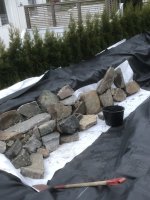 IMG_2951.JPG IMG_2951.JPG
